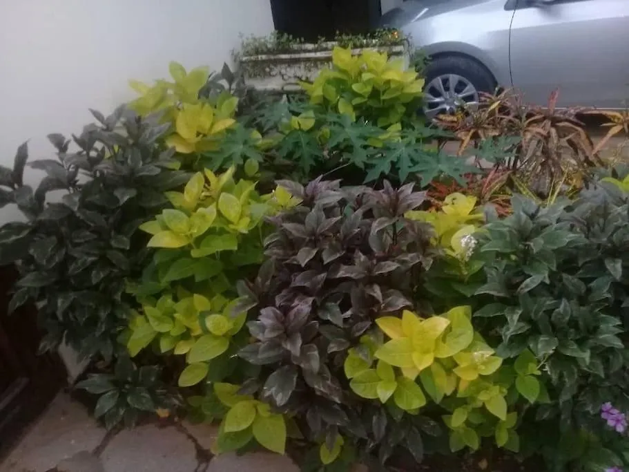 Lovely And Cosy 1 Bedroom Apartment Dakar Senegal